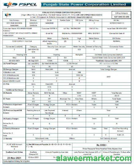 INDIA PSPCL utility bill Word and PDF template